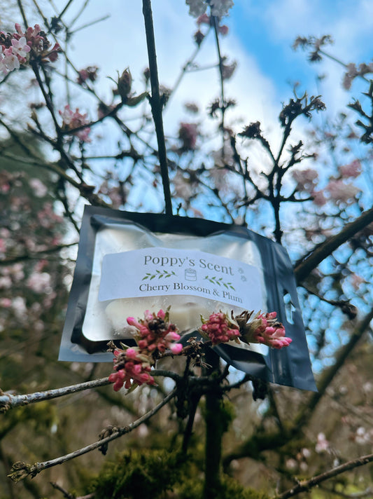 Cherry Blossom Wax Melts